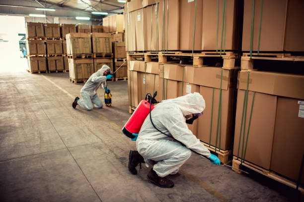 Best Bed Bug Extermination  in Great Falls, SC