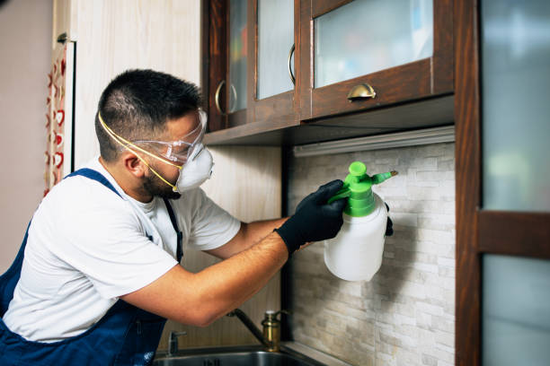 Flea Control Services in Great Falls, SC