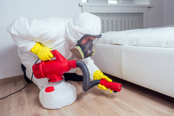 Best Wasp Removal Services  in Great Falls, SC