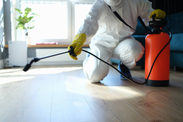 Wasp Removal Services in Great Falls, SC