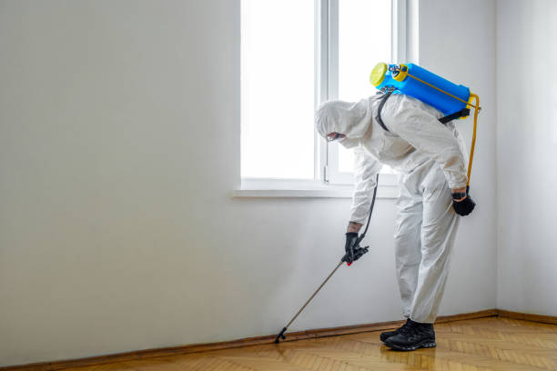 Best Mosquito Control Services  in Great Falls, SC