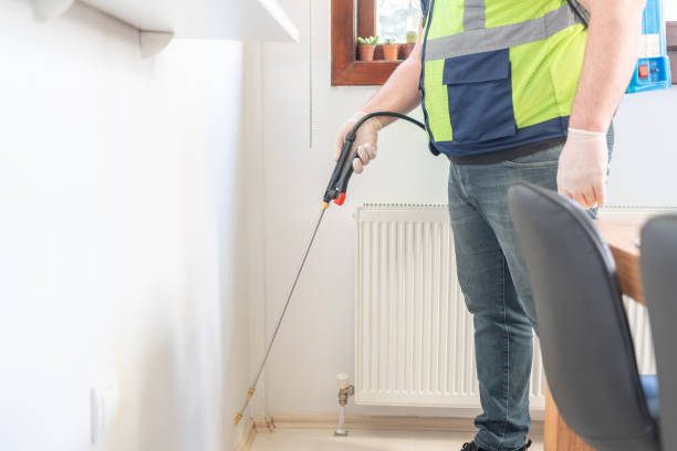 Best Local Pest Control Services  in Great Falls, SC