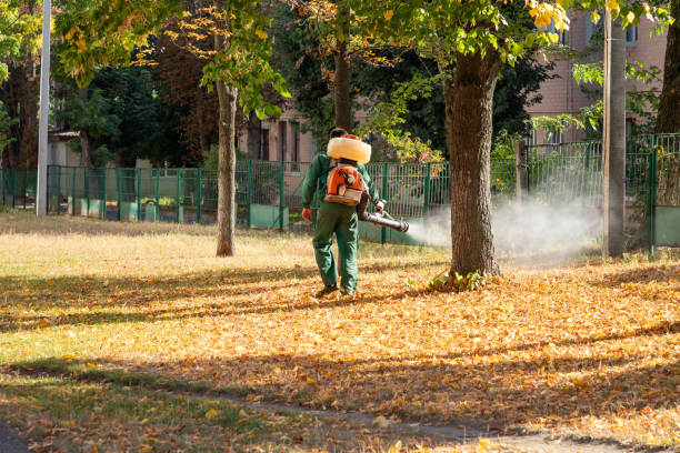 Best Pest Prevention Services  in Great Falls, SC