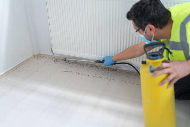 Best Emergency Pest Control  in Great Falls, SC
