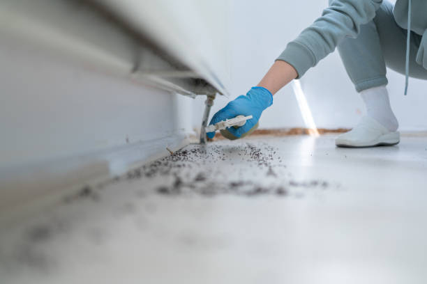 Trusted Great Falls, SC Pest Control Experts